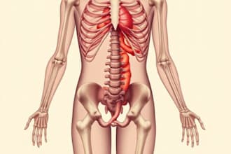 draw anatomy and medical vector illustration