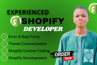 do shopify bug fix custom coding fix shopify errors as shopify website expert