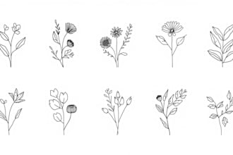 create elegant botanical line art for logo and branding