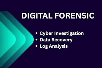 do digital forensic, cyber investigation and malware analysis