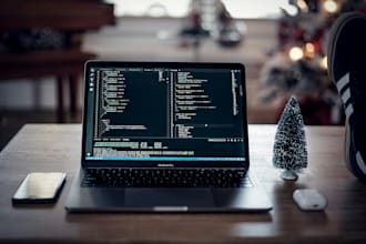 professional portfolio or business website from scratch