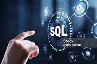 optimize your sql server database and write complex queries for your business