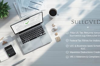 file your US tax return and federal tax filing for individuals and llcs