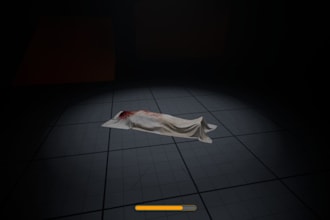 build features, game, and fix bugs