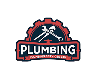 design a professional and modern plumbing logo for your business