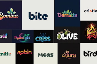 design your shopify brand identity, typography logo design etsy png rebranding