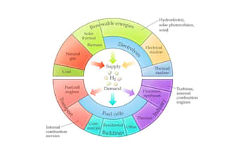 draw graphical abstract and scientific illustration