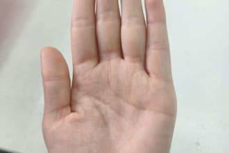 provide a detailed palm reading and personality analysis