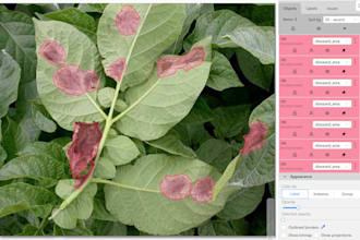do image annotation, polygon segmentation, and bounding box
