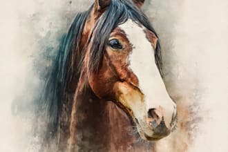 royal riding horses portrait in high quality