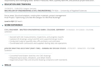 make professional europass CV for you