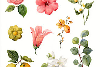 design best botanical illustration