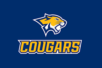 design a modern sports team logo for any sport