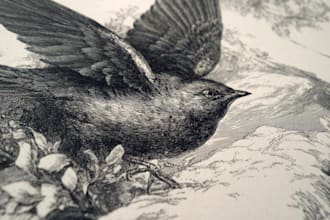 create detailed vintage engraving and etching illustration