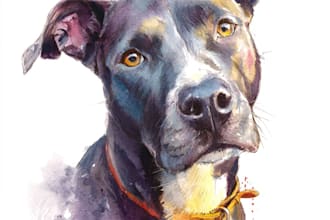 draw watercolor pet portrait