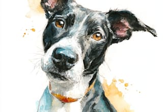 paint sketch and watercolor pet portrait painting