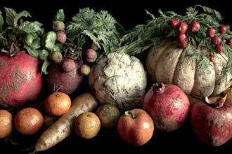 draw realistic plants, vegetables, fruits