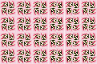 create custom fabric prints and textile patterns