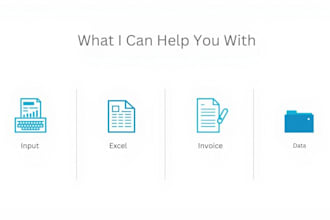 do accurate data entry, excel cleanup, and spreadsheet organization