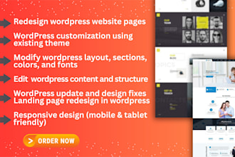 redesign wordpress website professionally