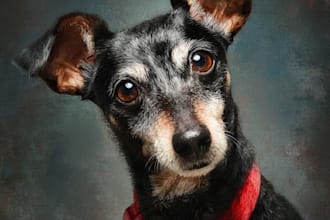 draw your dog or any pets into cartoon