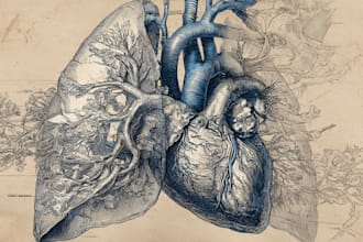 draw detailed medical illustrations