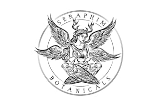 do moern wonderful exclusive wing logo