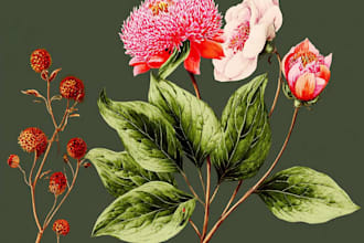 illustrate best botanical illustration