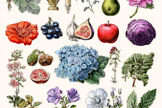 draw your flowers fruits vegetable and botanical plants
