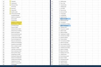 clean, format, merge, split excel data