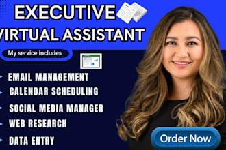 do long term personal excutive adminstrative virtual assistant web reseach
