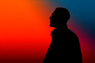 do silhouette logo for you