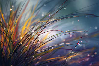 paint professional digital art