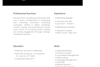create ats friendly resume CV with professional desi
