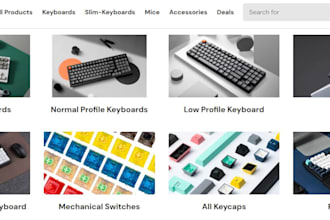 develop big commerce , shopify and wordpress websites for you
