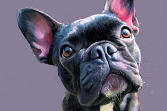 turn your pet into a cute disney style artwork
