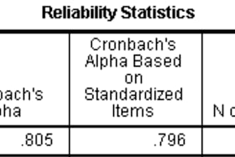 run spss analysis for your research