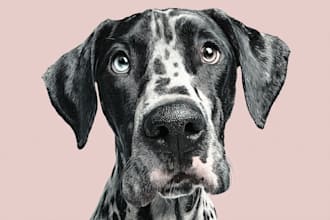 draw a colorful disney style pet portrait