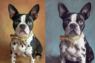 draw your pet as a disney style cartoon portrait