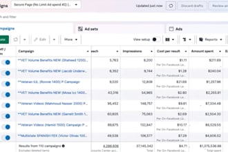 setup and manage facebook ads, conversion with fb pixel and meta ads campaign