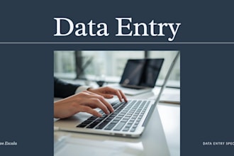 data entry typing work excel data cleaning data entry gig