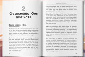 provide book editing and kindle formatting for amazon kdp