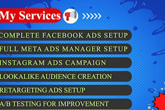 manage facebook and instagram ads campaign, fb marketing as meta ads expert