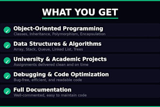 build a custom java, python, or cpp oop project with clean documented code