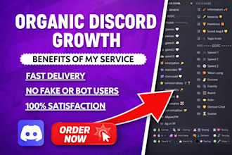 professional discord server growth discord server promotion discord advertising