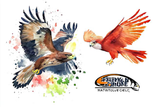 design eagle, falcon, owl or any bird logo or t shirt in watercolor