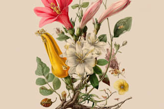draw botanical illustration art for you