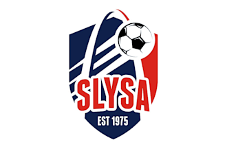 design professional soccer, basketball and sports team logo
