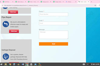 do website design, redesign, develop, update, clone,customize wordpress website