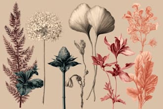draw realistic botanical art for prints, design